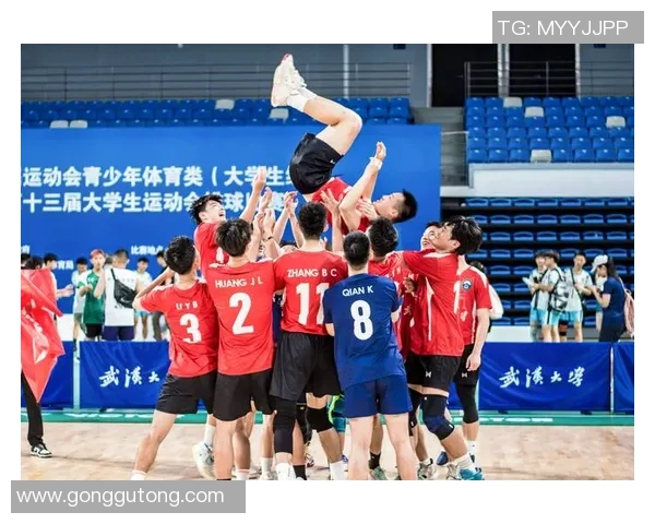 武汉排球队防守体系解析:排球战术的创新与实践探讨